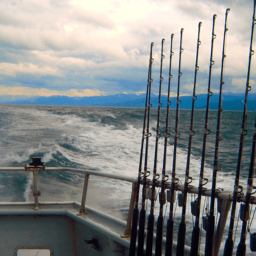 Fishing rods on a boat deck with ocean and cloudy sky in background.